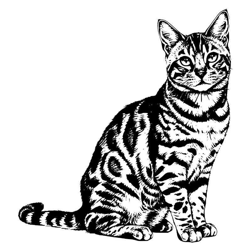 Exotic Bengal Cat - Art de lignes léopard élégant