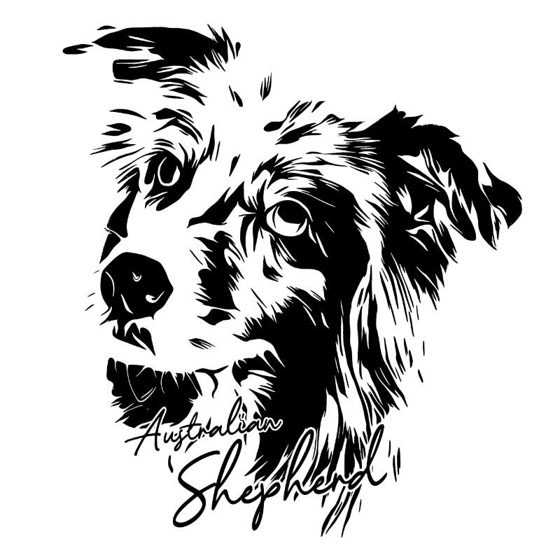 Australian Shepherd