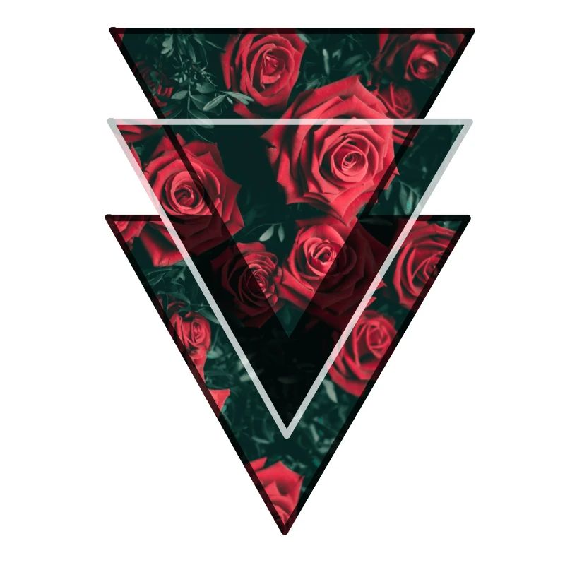 Rose Garden Geometry