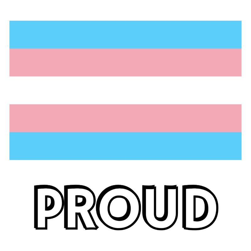 Drapeau trans PROUD