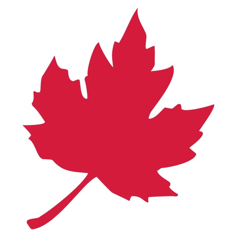 feuilles d'érable