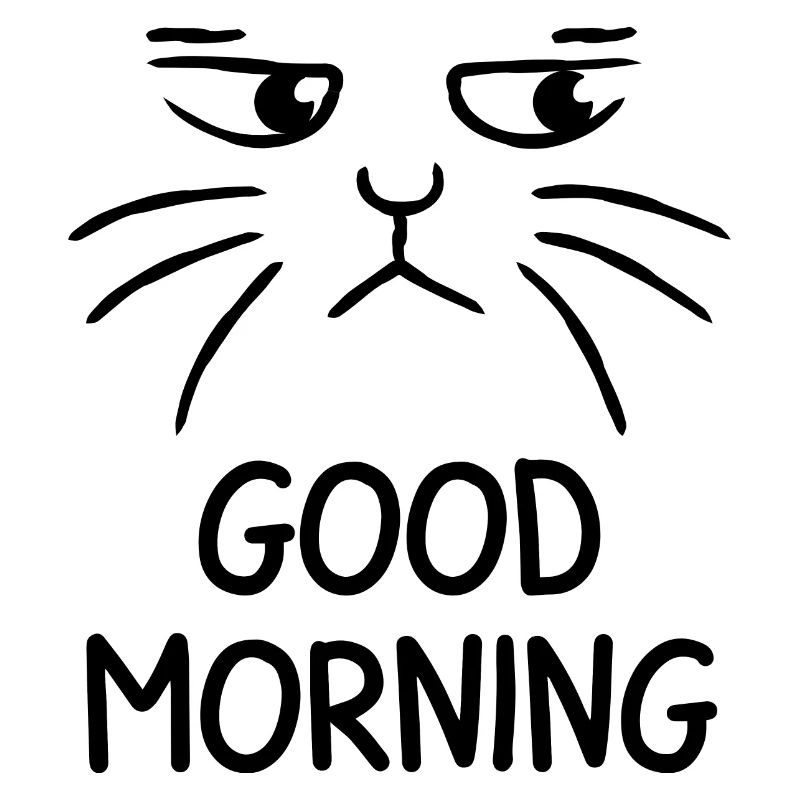 Good Morning cat grumpy katze