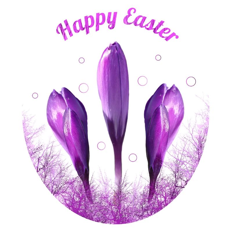 Crocuses Happy Easter