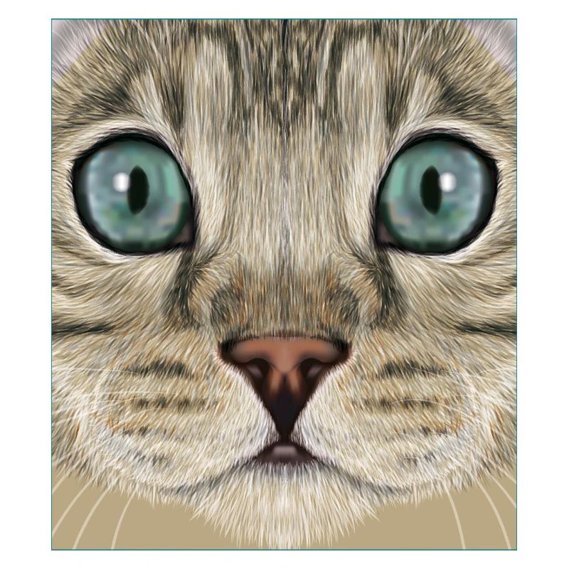 Chat léopard