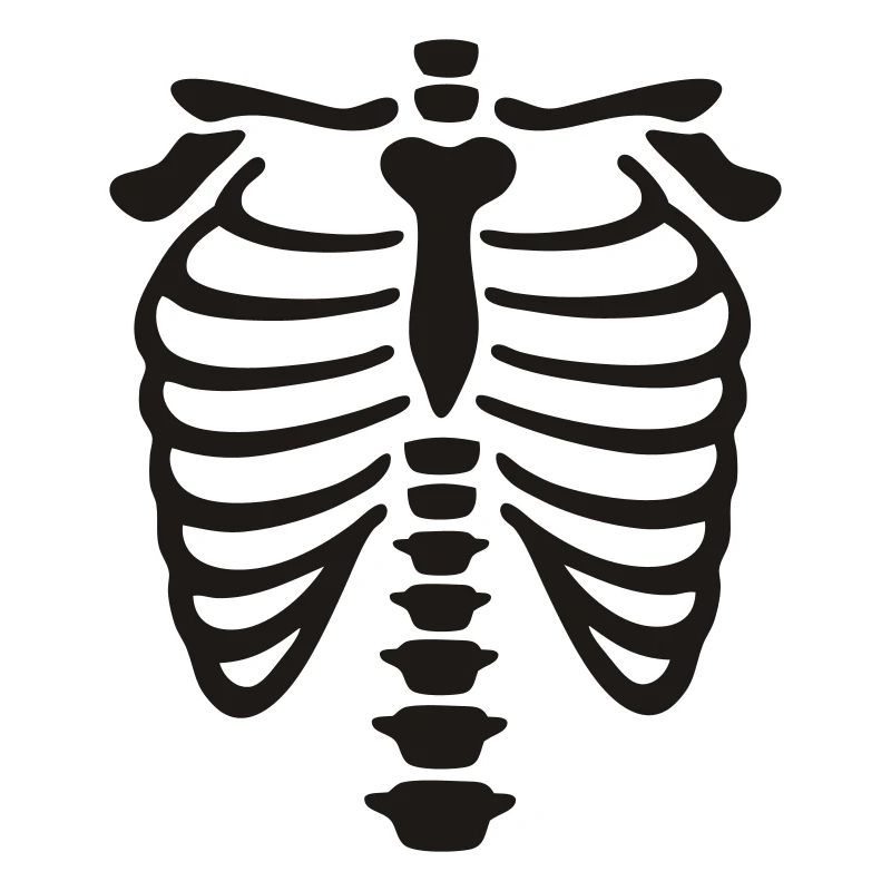 xray_vector