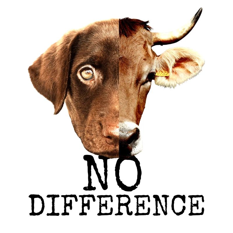 No Difference Pro Vegan Vegetarier Tierschutz