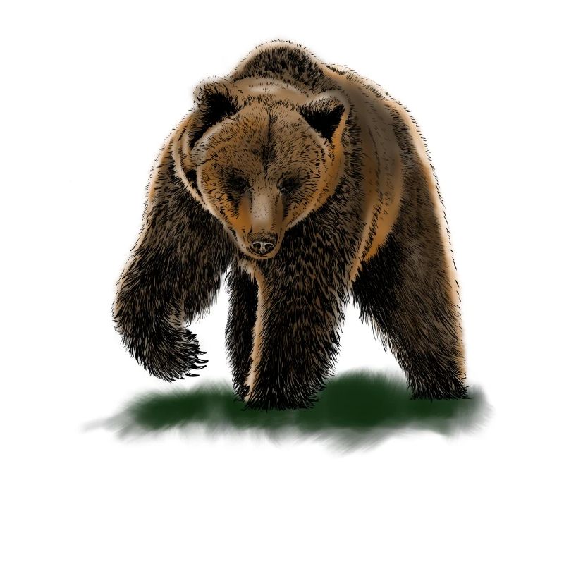 porter