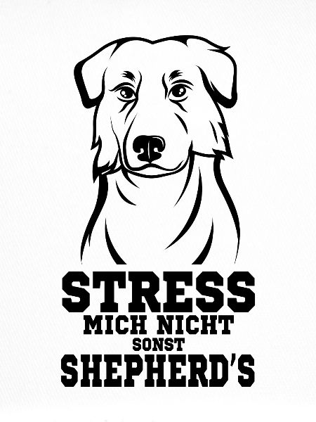Australian Shepherd