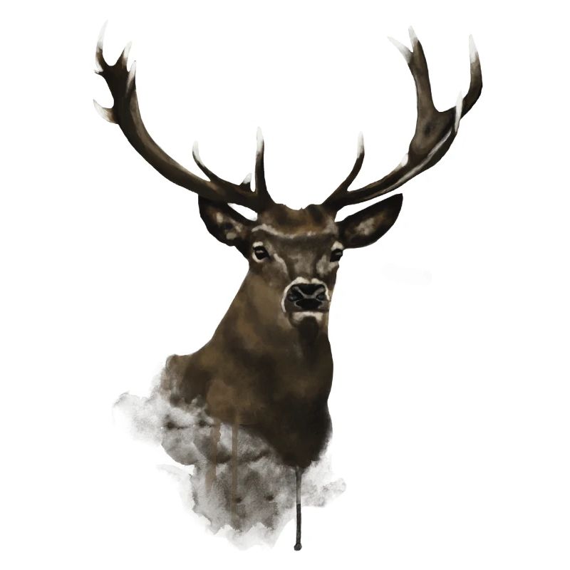 Hirsch