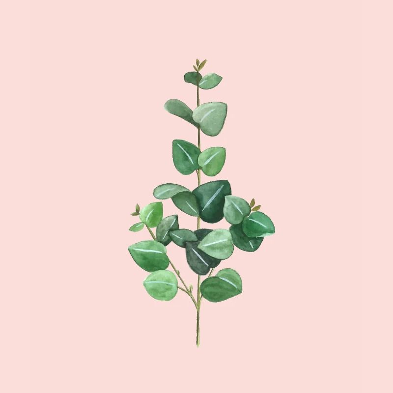 Green eucalyptus