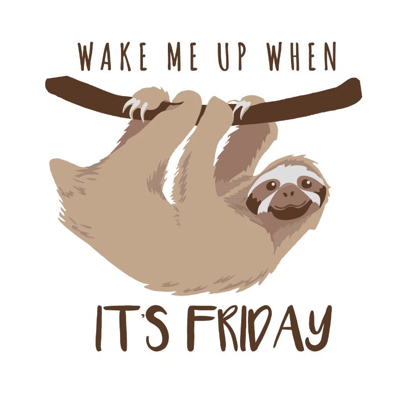 Sloth Wake my up when it's friday