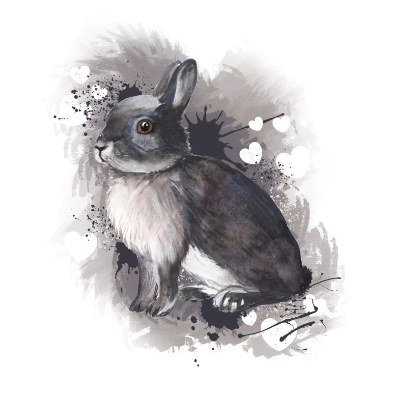 Lapin lapin
