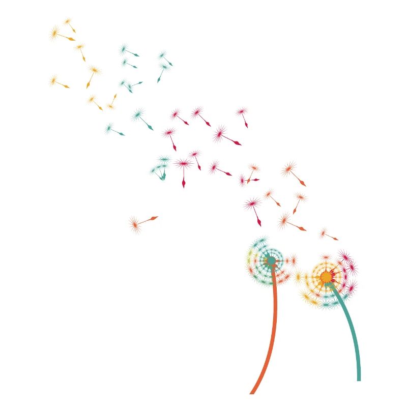 Pusteblume Knäuelgras