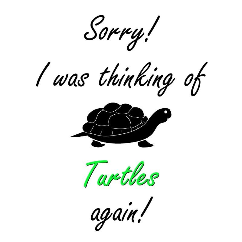 Turtle Turtle
