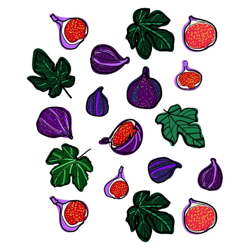 Figs fruits pattern1