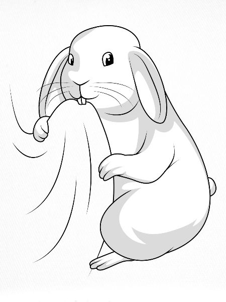 Hasen