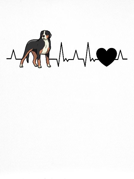 Großer Schweizer Sennenhund Herzschlag