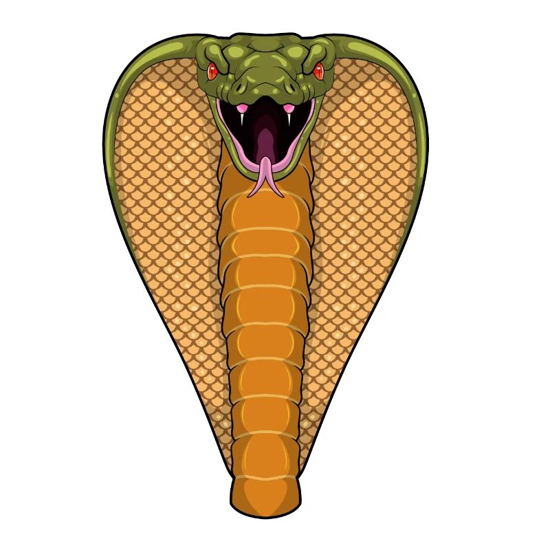 Cobra Snake