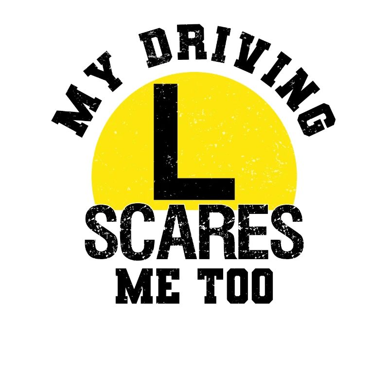 Learner driver Driving school Driving licence Novice driver