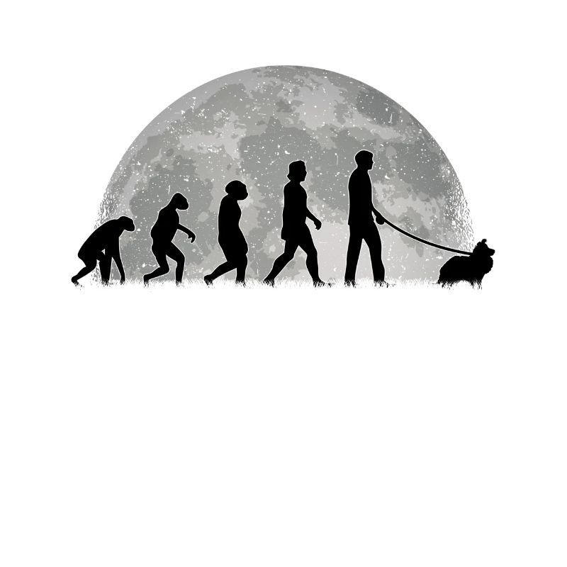 Sheltie Evolution Lune Shetland Berger