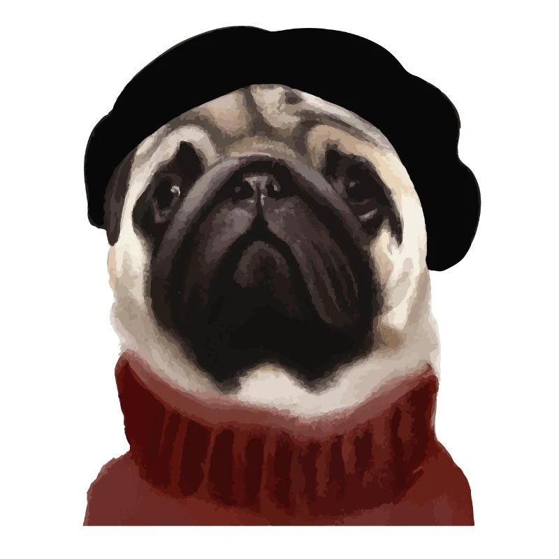Chien carlin avec casquette et pull