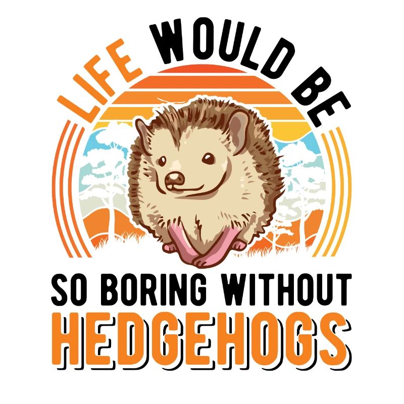 Life would be so boring without Hedgehogs Hedgehog