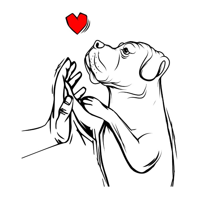 Cane Corso