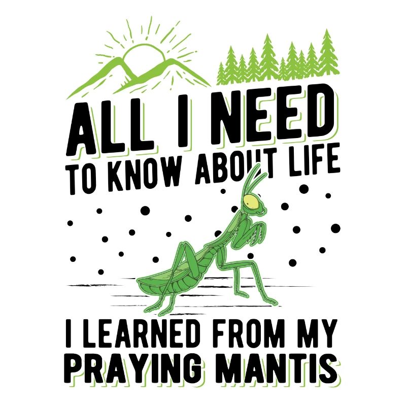 Praying mantis Mantis Mantis