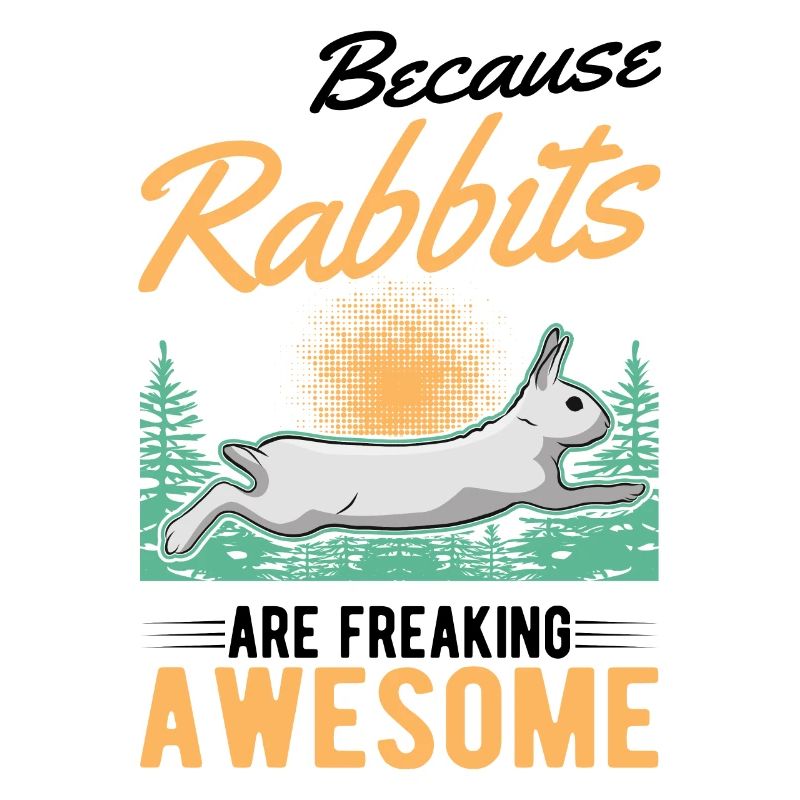 Rabbit Gift Rabbit Rabbit