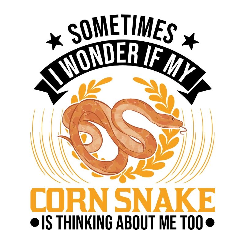 Corn Snake Gift Corn Snake