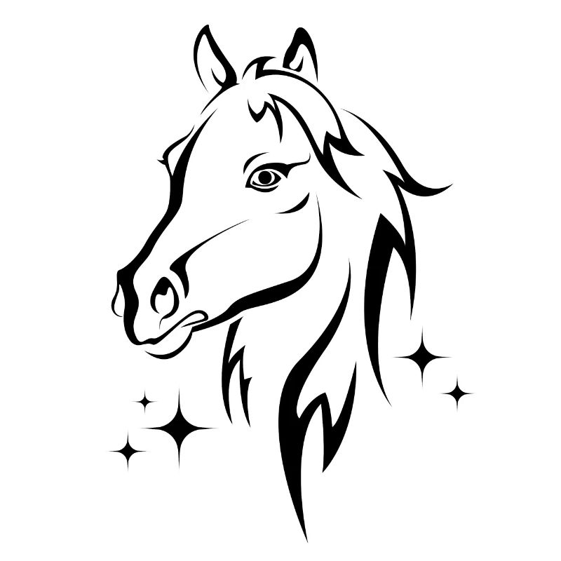 Pferd mit Sternen