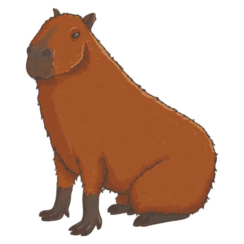 Capybara sits
