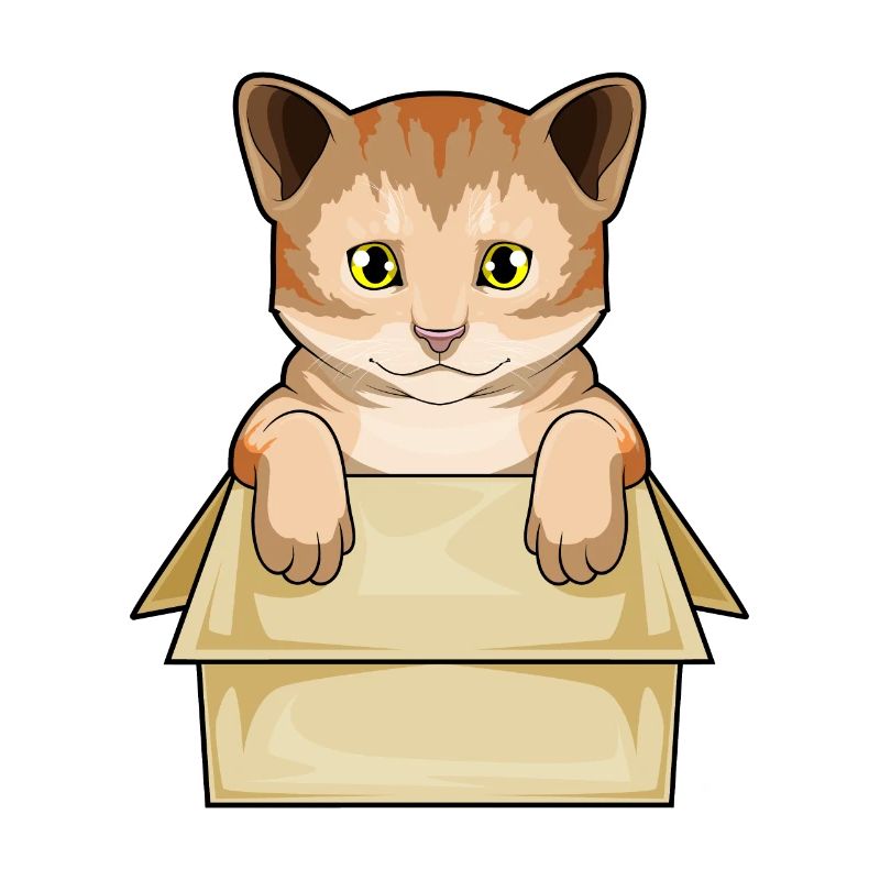 Cat Box