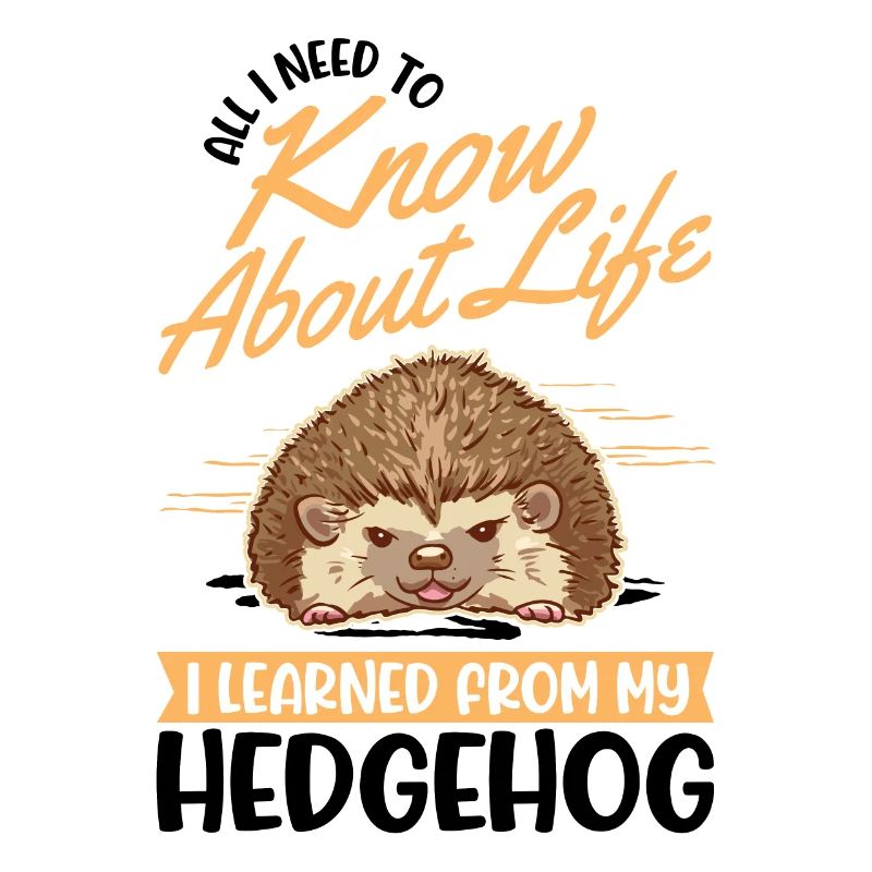 Hedgehog Gift Spiny Hedgehog