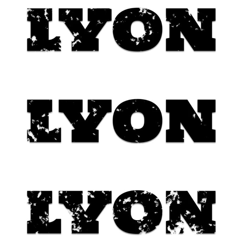 Lyon, Frankreich