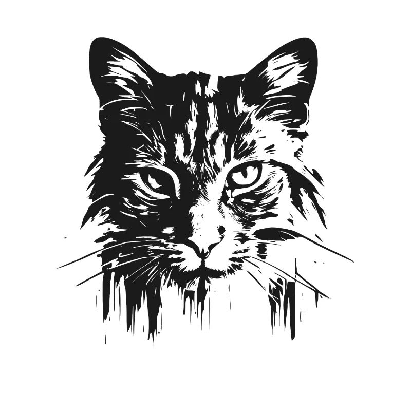 Cat 3