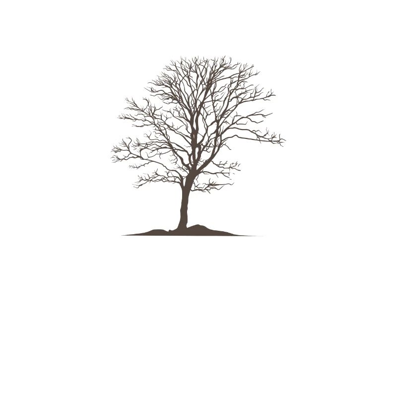 Tree without leaves Nature Forests Environment