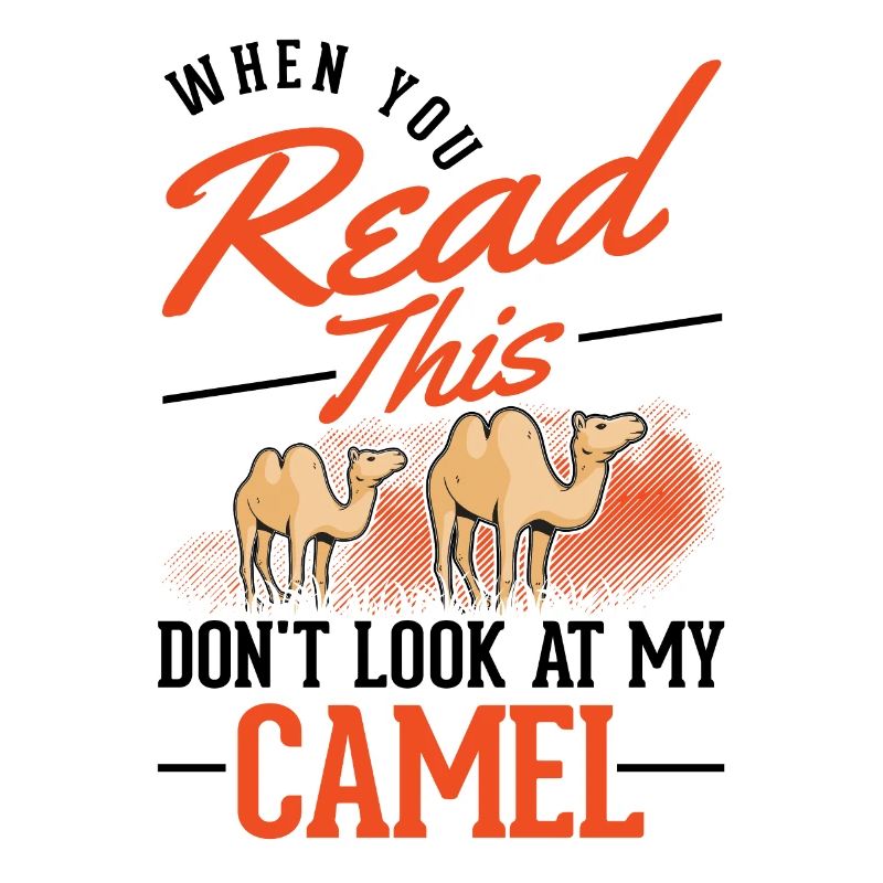 Kamel Geschenk Dromedar Camel Großkamel