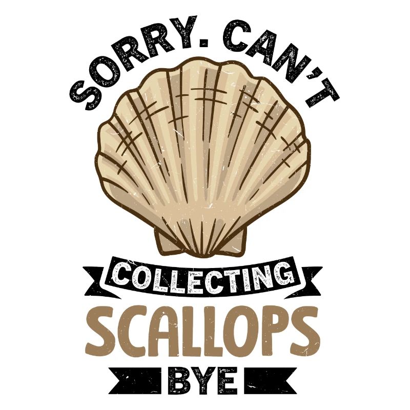 Seashell Shell Collector Scallop