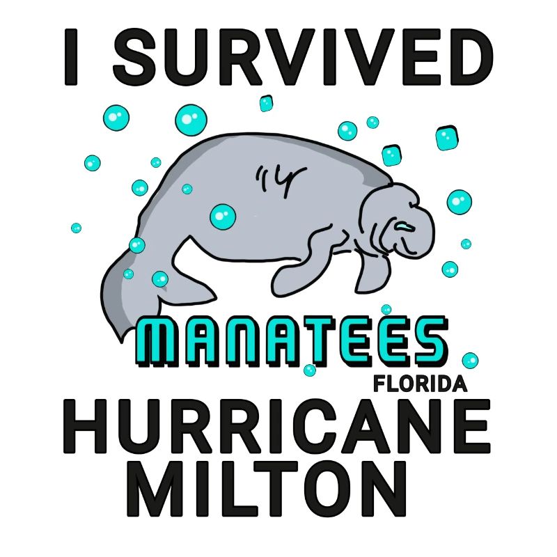 I survived Hurricane Milton Manatee