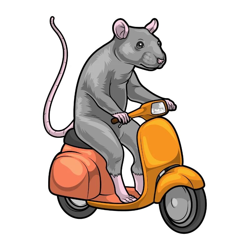 Rat Scooter