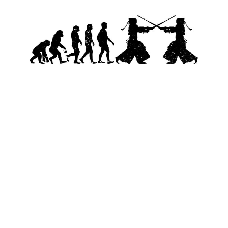 Kendo Evolution Kendo Fighter