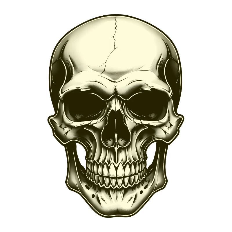 Skull skull