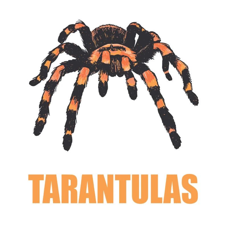 Tarantulas Tarantula