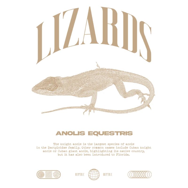 Cuban Knight Anole Reptile Keeper Lizard
