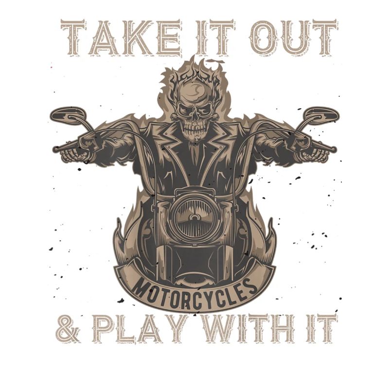 Take It Out Motorcycles Skull
