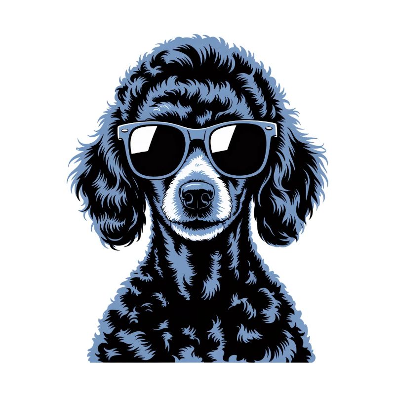 Caniche noir