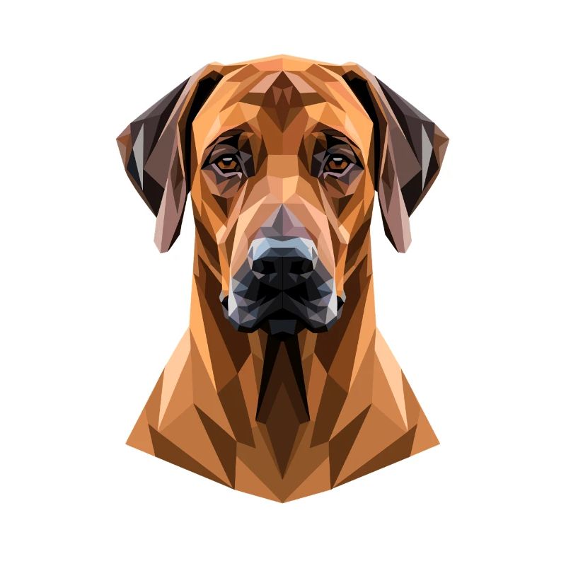 Rhodesian Ridgeback Jagdhund Hunde Stolz Ridgeback