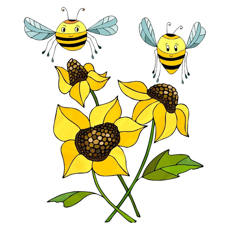 Insectes