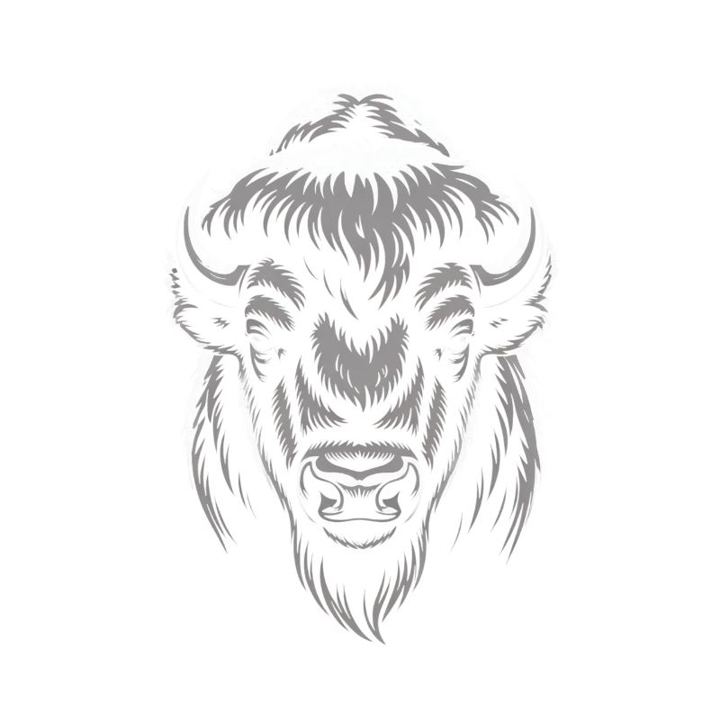 Gray bison head